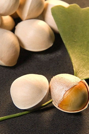 GINKGO NUTS