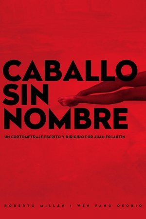 Caballo sin Nombre