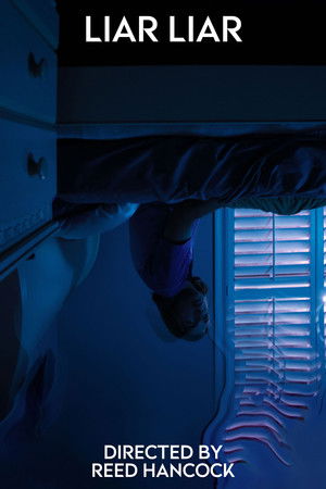 Liar Liar Liar Liar