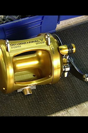 Fishing Reels, Miniature Houses, Kitchen Mixers