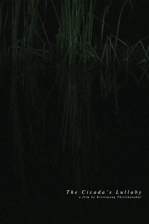 The Cicada's Lullaby
