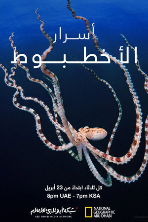 أسرار الأخطبوط