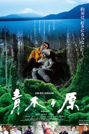 Aokigahara