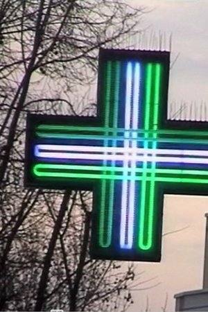 Crucifer