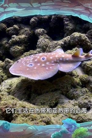 16. epizoda
