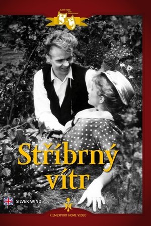 Stříbrný vítr