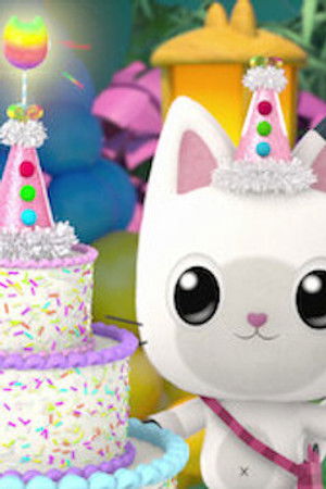 Pandy má narozeniny