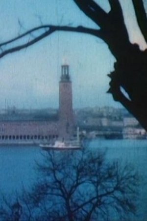 Stockholm i färger