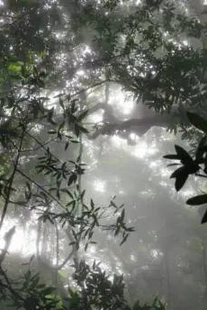 12. epizoda