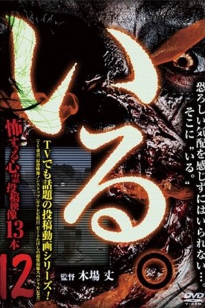「Iru.」~ Kowasugiru Tōkō Eizō 13-hon ~ Vol.12