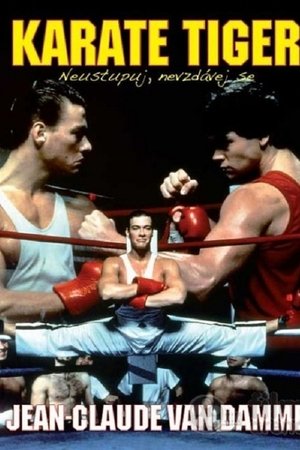 Karate tiger 1: Neustupuj, nevzdávej se