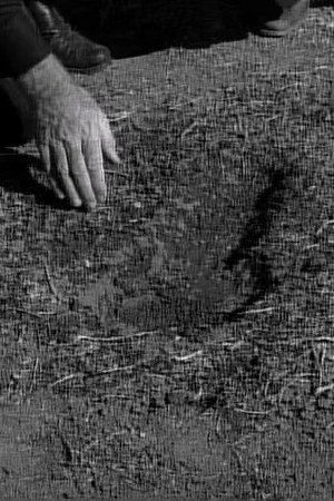 The Monster of Moon Ridge