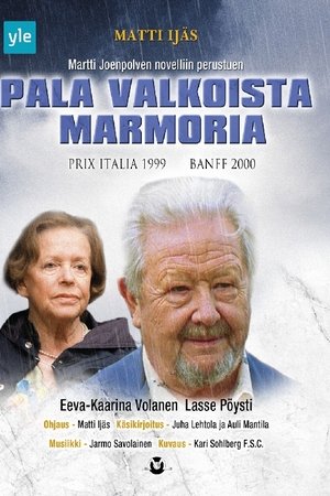 Pala valkoista marmoria