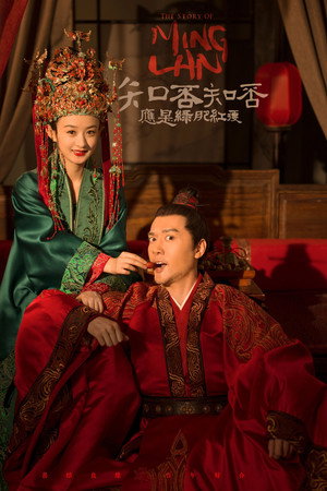 知否知否应是绿肥红瘦（DVD版）