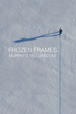 Frozen Frames: Murphy's Yellowstone