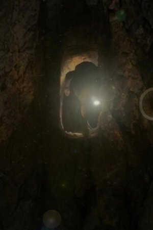 4. epizoda