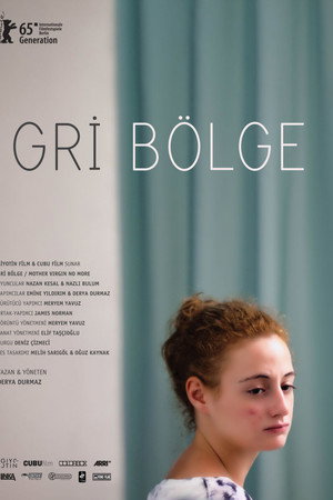 Gri Bölge