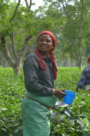 Baganko Katha