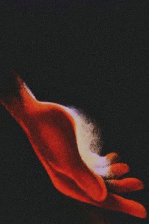 Chopin