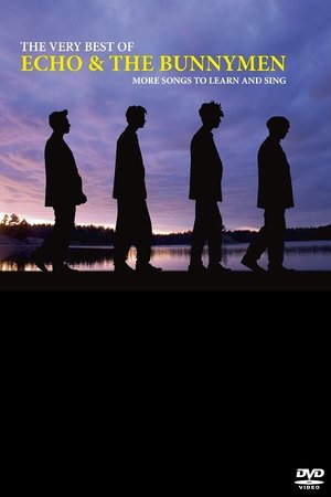 Echo & The Bunnymen: More Songs to Learn and Sing