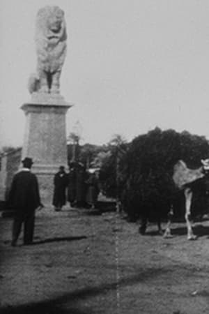 Le Caire, sortie du pont de Kasr-el-Nil (chameaux)