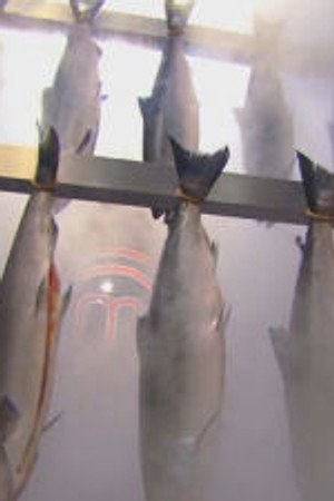 A Cut Above the Rest