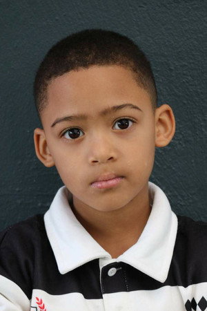 Troy Paulse