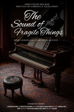 The Sound of Fragile Things