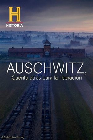 Auschwitz: Countdown To Liberation
