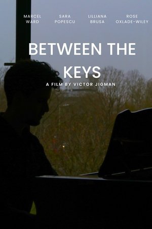 Between the Keys