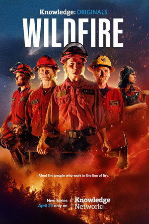 Wildfire