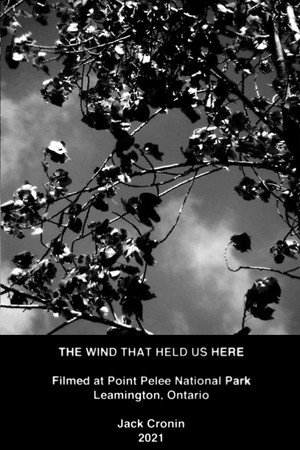 The Wind That Held Us Here