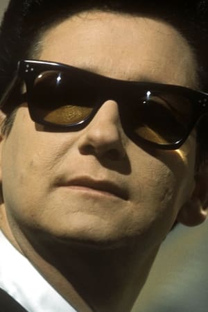 In Dreams: The Roy Orbison Story