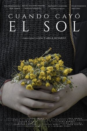 Cuando cayó el sol