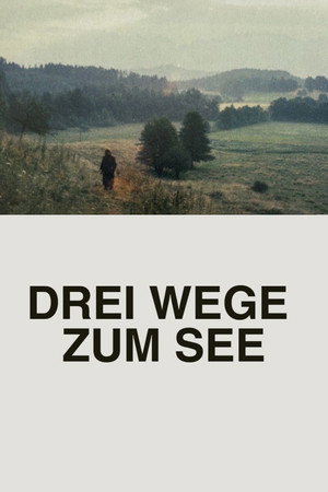 Drei Wege zum See