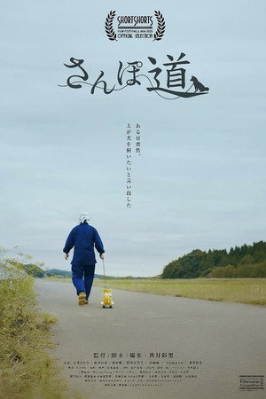 A Walk with You