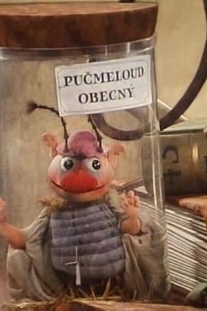 Jediný Pučmeloud na světě