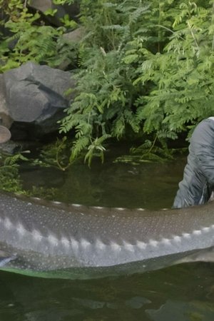 3. epizoda