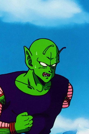 Piccolo's Plan