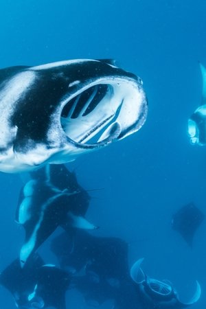 6. epizoda