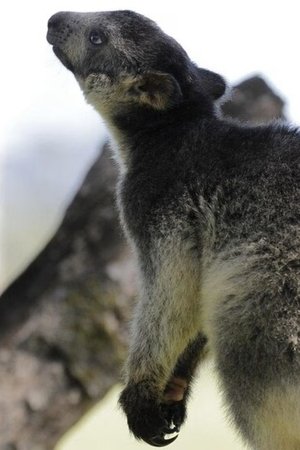 13. epizoda