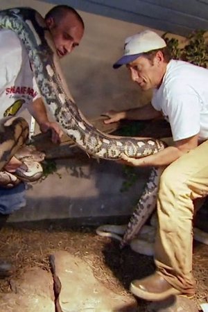 10. epizoda