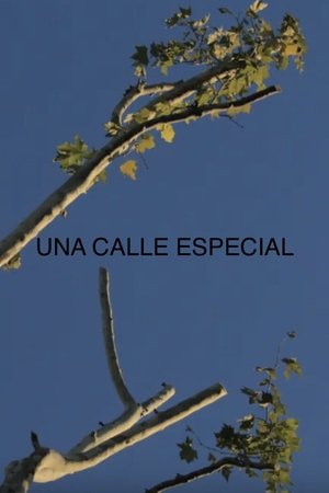 Una Calle Especial
