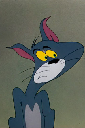 Nit-Witty Kitty