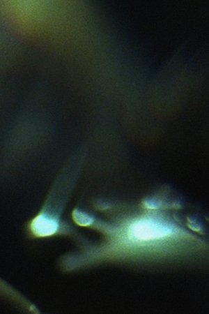 Prisms