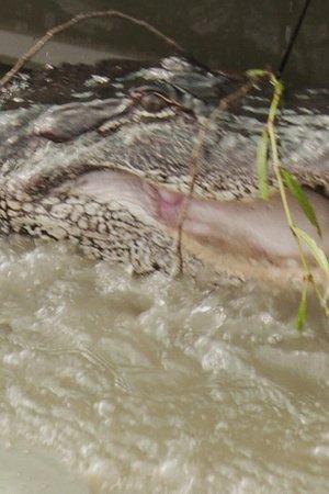 7. epizoda
