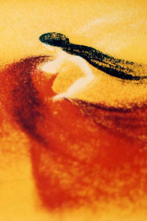 Carmen Suita z „Carmen – Suity”
