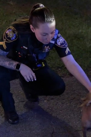 Out of Control Party