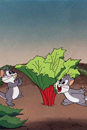The Goofy Gophers