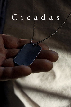 Cicadas